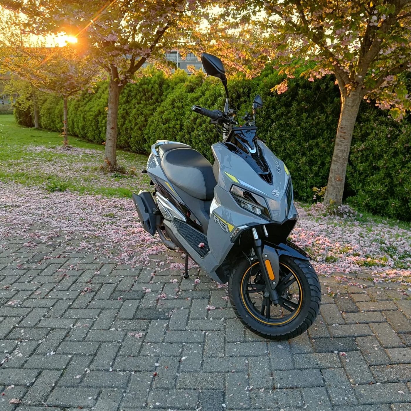 Grijze MOMO R9-scooter tussen de bloesem tijdens golden hour