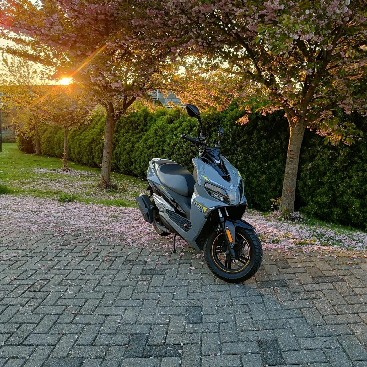MOMO R9-scooter tussen roze bloesem