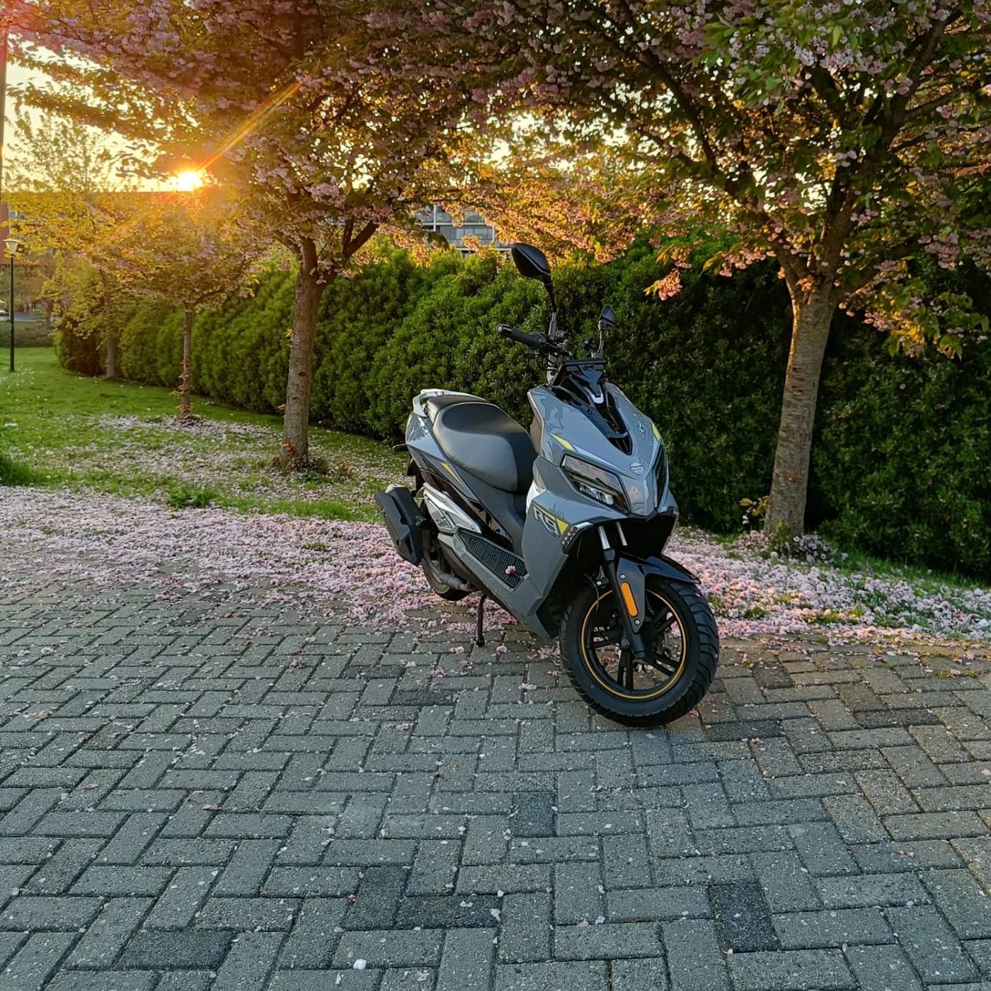 MOMO R9-scooter in de avondzon